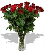 Flowers - Two Dozen Red Roses