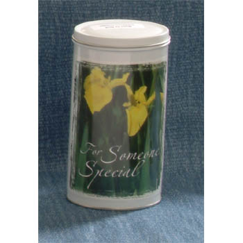 6 Collectible Treasure Tins with the message on the front ""For Someone Special""