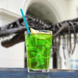 Bring out your inner paleaontologist with these great Dinosaur Fossil Ice Cubes. Great for parties t