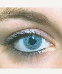 Four Eyez Cosmetic Fashion Lenses - Grey