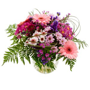One of our best selling bouquets the Friendship Bouquet truly is suitable for any occasion or does t