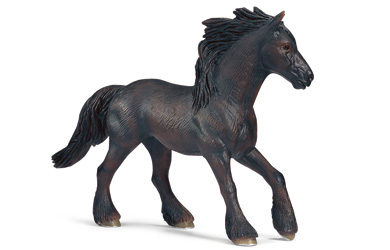 Unbranded Frisian Mare