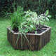 Get your herb garden growing in this delightful honeycomb shaped planter.