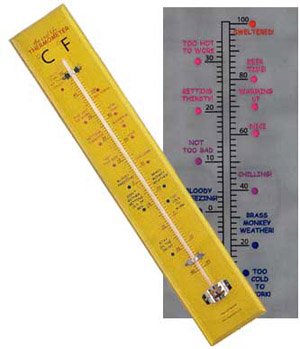 Unbranded Fun Thermometer