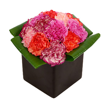 Unbranded Funky Carnations Black Cube - flowers