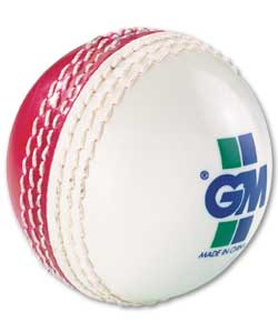 GM Andy Caddick Cricket Skills Ball