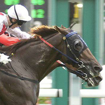 Go Racing at the Singapore Turf Club - Adult