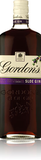 Unbranded Gordon` Sloe Gin (70cl)