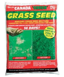 Unbranded Grass Seed