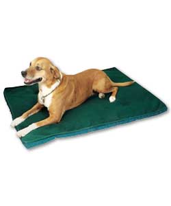 Green Polar Fleece Pet Bed