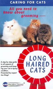 Grooming Long Haired Cats