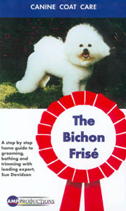 Grooming The Bichon Frise