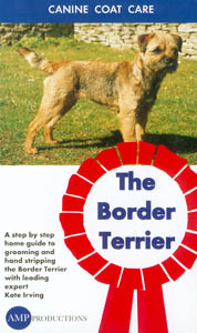 Grooming The Border Terrier