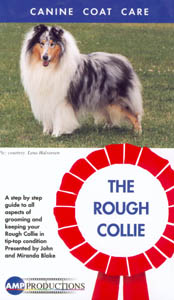 Grooming The Rough Collie