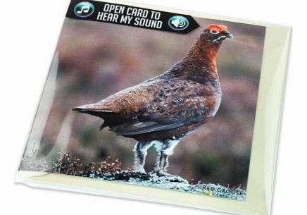 Unbranded Grouse Greeting Card with Sound 4556