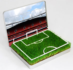 Unbranded Grow Your Own Arsenal Football Pitch