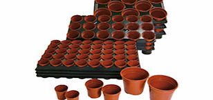 Unbranded Growing-on Trays and Pots - Set