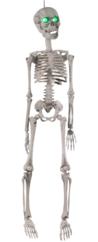 Unbranded Gruesome Horror - 50cm Skeleton w Light Up Eyes