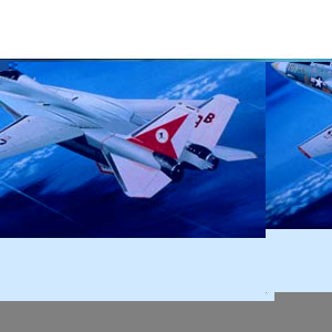 Unbranded Grumman F-14A Tomcat plastic kit 1:144