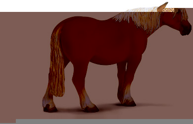 Unbranded Hafling Horse