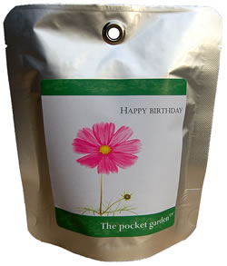 A delightfully original way to celebrate the birthday of a loved one, this sweet little garden in a 