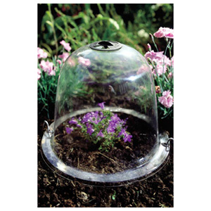 Promote stable and healthy new growth in your plants with Haxnicks Baby Victorian Bell Garden Cloche