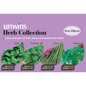 Unbranded Herb Collection Seeds