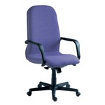 High-Back Ergonomic Executive Chair-Blue