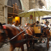 Unbranded Horse and Carriage Ride in Florence - 60 minute Tour (Per Carriage)