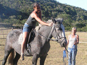 Unbranded Horse rehabilitation project in South Africa