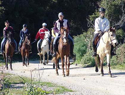 Unbranded Horse Riding - from Bodrum