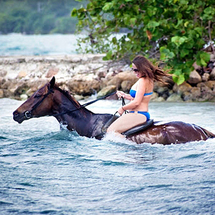 Unbranded Horseback Ride n Swim from Montego Bay