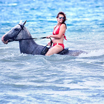 Unbranded Horseback Ride n Swim from Negril -
