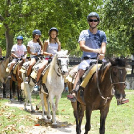 Unbranded Horseback Riding in Punta Cana - Child (two-hour