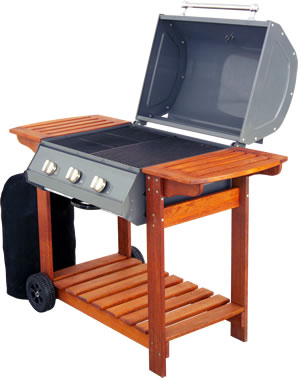 Gas powered barbecues are all the rage for the simple fact that they are so much easier and