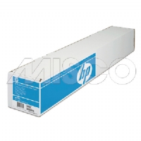 Unbranded HP PROFESSIONAL SATIN PHOTO PAPER 300 G/M2-24 /