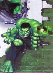 Hulk - Tablecover plastic - 1.2m x 1.8m
