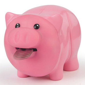 Unbranded Hungry Pig Munching Money Box