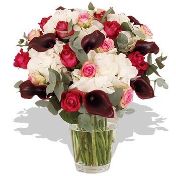 Unbranded Hydrangea and Calla Lily Bouquet - flowers