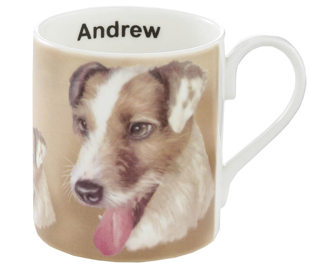 Unbranded Illustrated Dog Bone China Mug - Jack Russell Long Haired