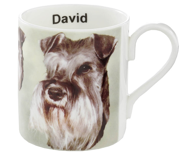 Unbranded Illustrated Dog Bone China Mug - Schnauzer