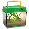 Insect Cage Gallery