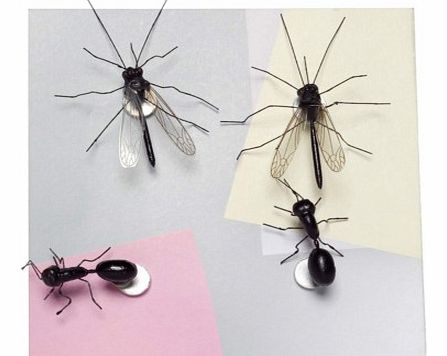 Insect Fridge MagnetsCreep your friends and family out with these life like Insect Magnets. Stick them to any magnetic surface and laugh as people notice them!These magnetic creepy crawlers are handmade to make them look like the real thing. The set 