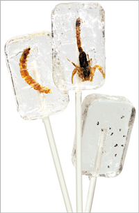 Unbranded Insectilix Lolly (Antilix)