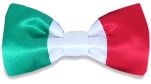 Unbranded Italian Flag Bow Tie