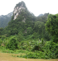 This memorable safari takes you to the stunning Khoa Sok Rainforest for an inspiring canoe and eleph