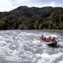 Enjoy a thrilling white water rafting adventure along the bamboo-fringed Kiulu River, perfect for no