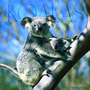 Koalas 2006 calendar