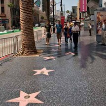 Unbranded LA/Hollywood and Beach Experience - Adult