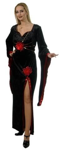 Live out your evening as a stunning Female Vampire Slay them all in this long sexy black costume